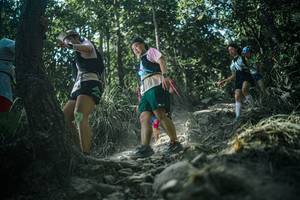 BIB: 
                            <button type="button" onclick="openModal(25988510)" class="btn btn-primary btn-sm float-right btn-popup" data-toggle="modal" data-target=".modal-high-quality">
                        <i class="fas fa-shopping-cart"></i> Add to Cart
                    </button>
                                            <button type="button" onclick="isThisMe(25988510, true)" class="btn btn-success btn-sm float-right btn-popup btn-isme hidden" data-toggle="tooltip" data-placement="bottom" title="นี่คือรูปของคุณใช่ไหม คลิกที่นี่เพื่อเอาเข้าอัลบั้ม">
                        <i class="fas fa-plus"></i> Add to album
                    </button>
                    <button type="button" onclick="isThisMe(25988510, false)" class="btn btn-warning btn-sm float-right btn-popup btn-isnotme hidden">
                        <i class="fas fa-ban"></i> Remove from album
                    </button>